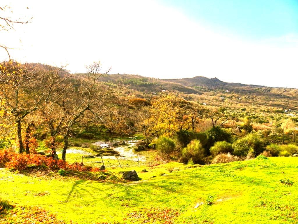 Quinta Do Marvao Pensionat Rum bild