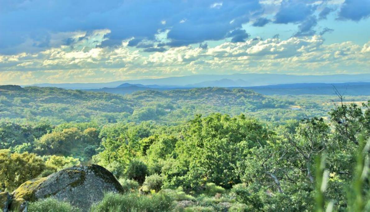 Quinta Do Marvao Pensionat Exteriör bild